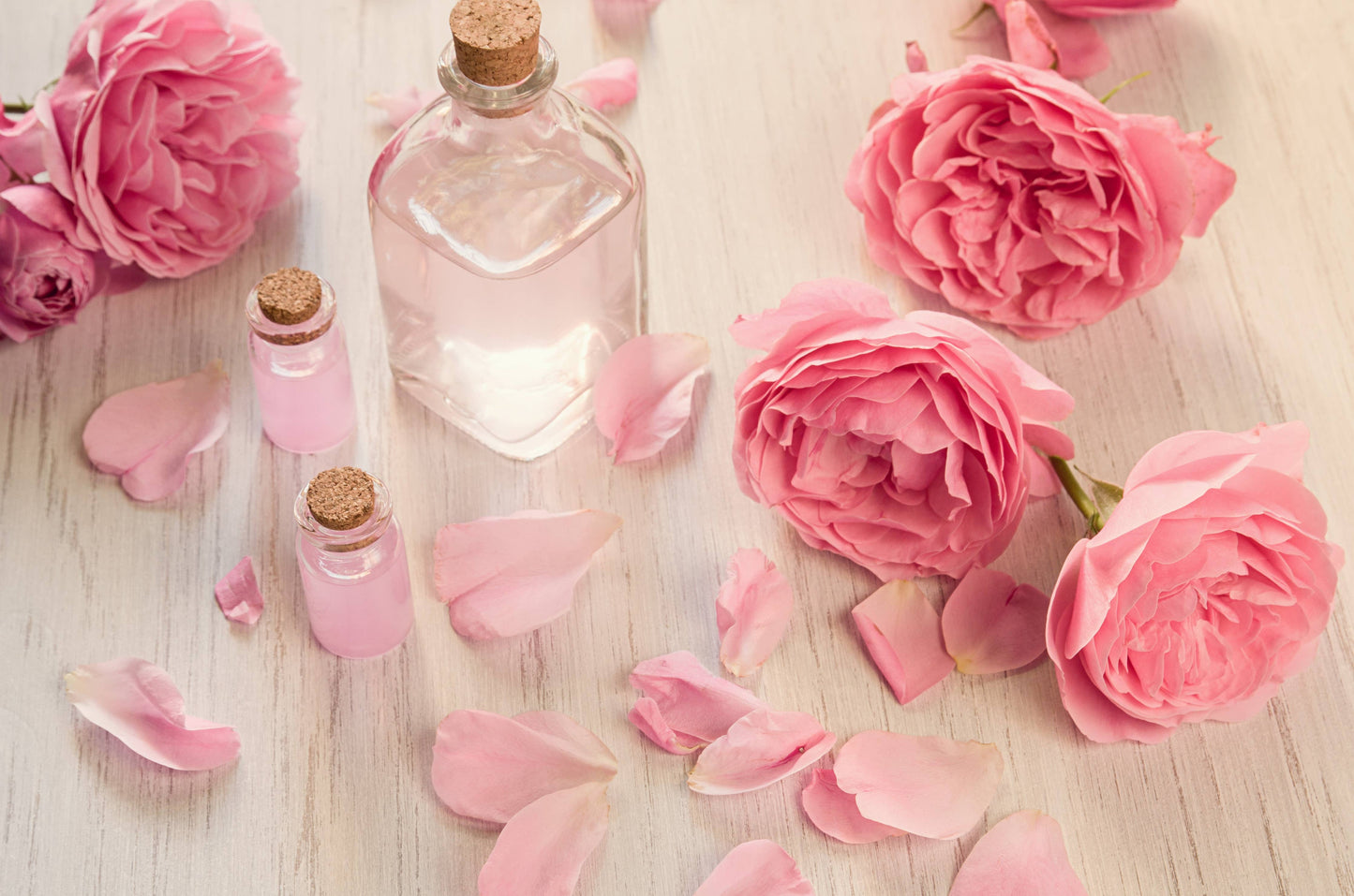 Pink & Fresh