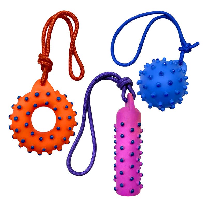 Rope Dogs 3 assorted styles