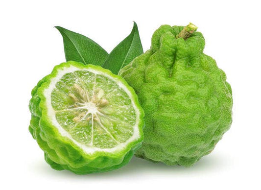Bergamot Waters Fragrance Oil