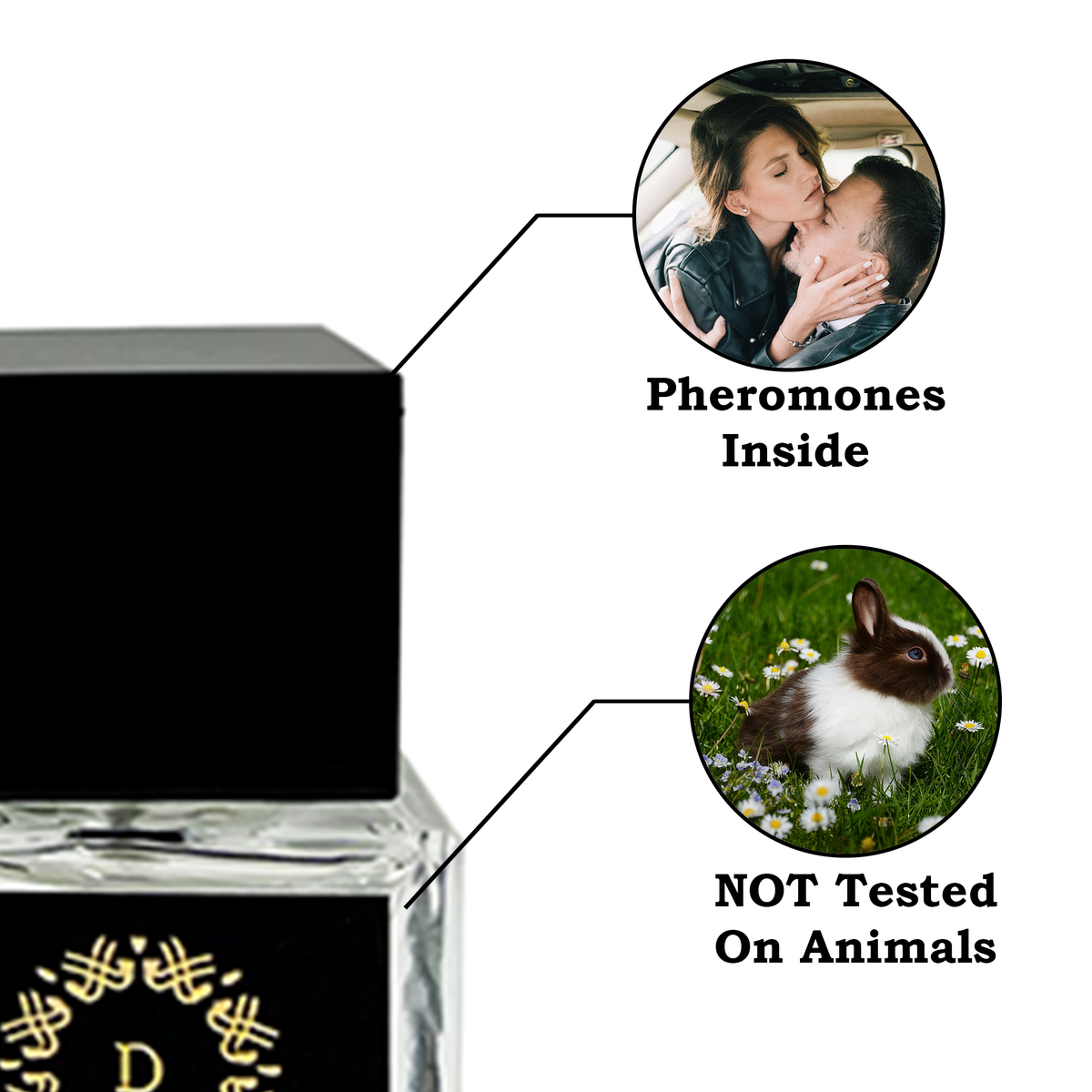 DASPAR KIRA WOMEN PERFUME WITH PHE.RO.MO.NES 2.02 OZ