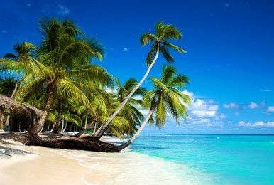 Caribbean Teakwood