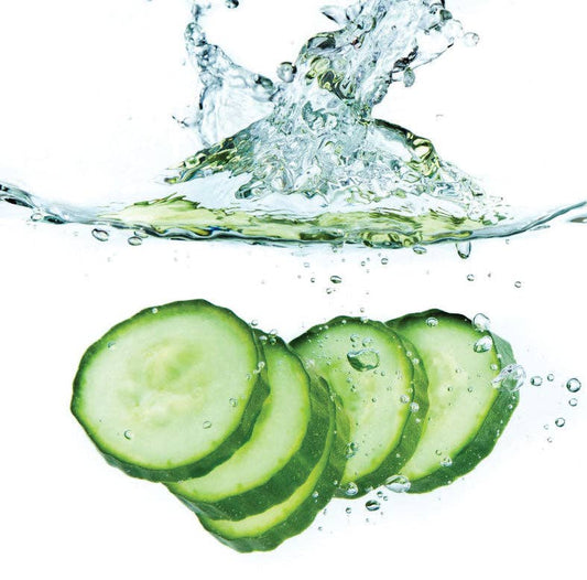 FRESH CUCUMBER